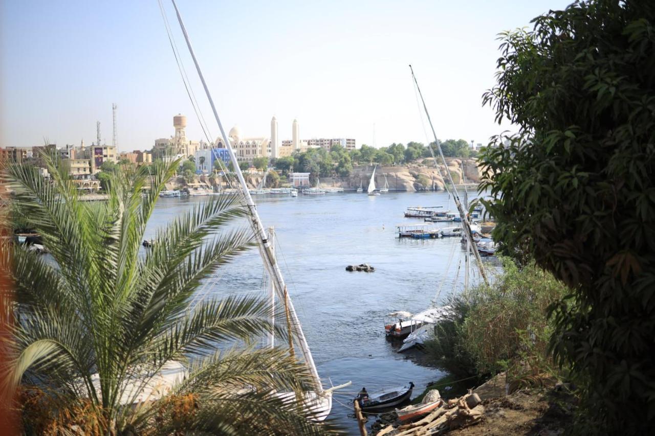 Kana Kato Aswan Room photo